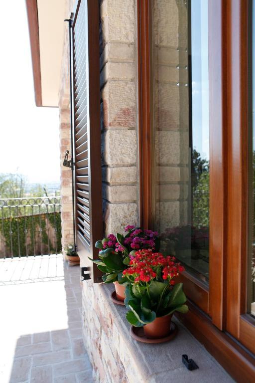 B&B Lavanda E Rosmarino Asís Exterior foto