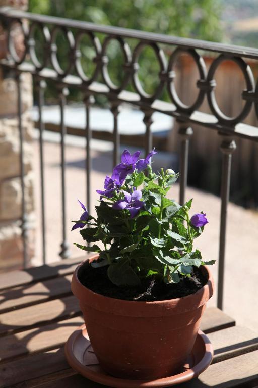 B&B Lavanda E Rosmarino Asís Exterior foto